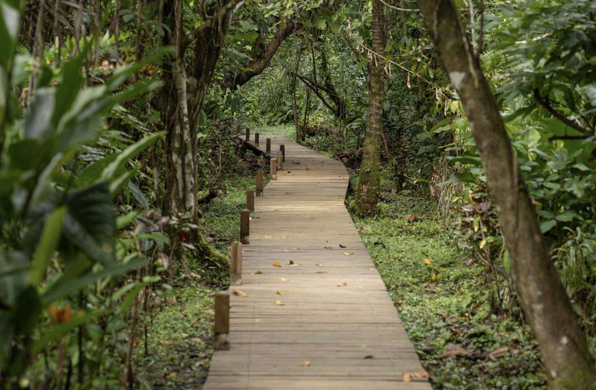 Casa Cayuco Eco-Adventure Lodge Bocas del Toro Exterior photo